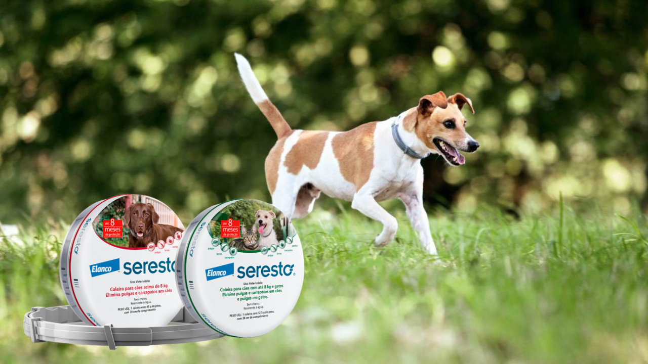 COLEIRA ANTIPULGAS SERESTO PETS COM ATÉ 8KG