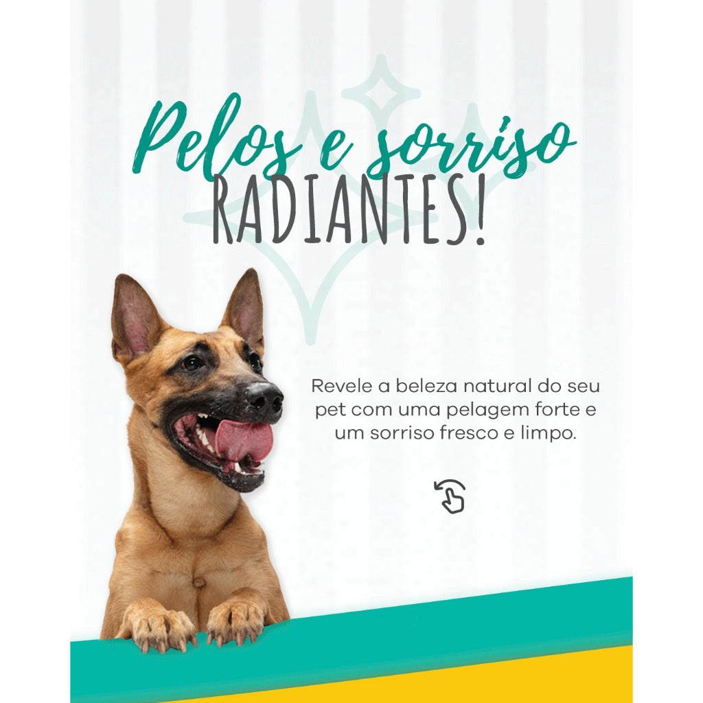 SUPLEMENTO NATURAL ORGÂNICO A BASE DE NEEM IMUNO PET 60 GR