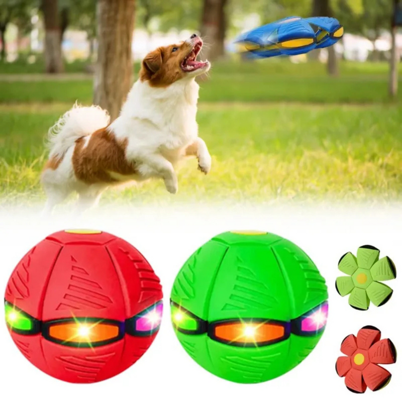 PETBALL BOLA VOADORA PARA PETS