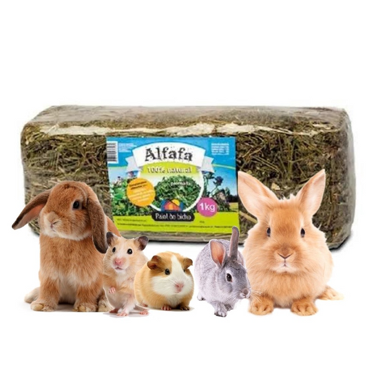 ALFAFA PRENSADA 1KG