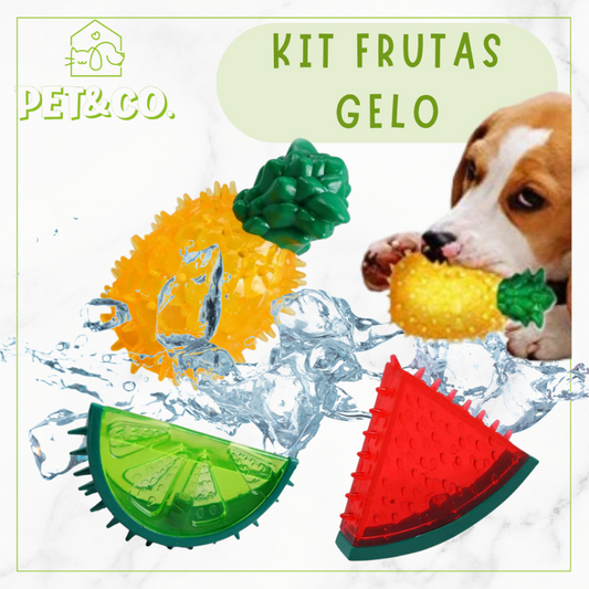 BRINQUEDO MORDEDOR GELADO PARA CACHORRO COM APITO
