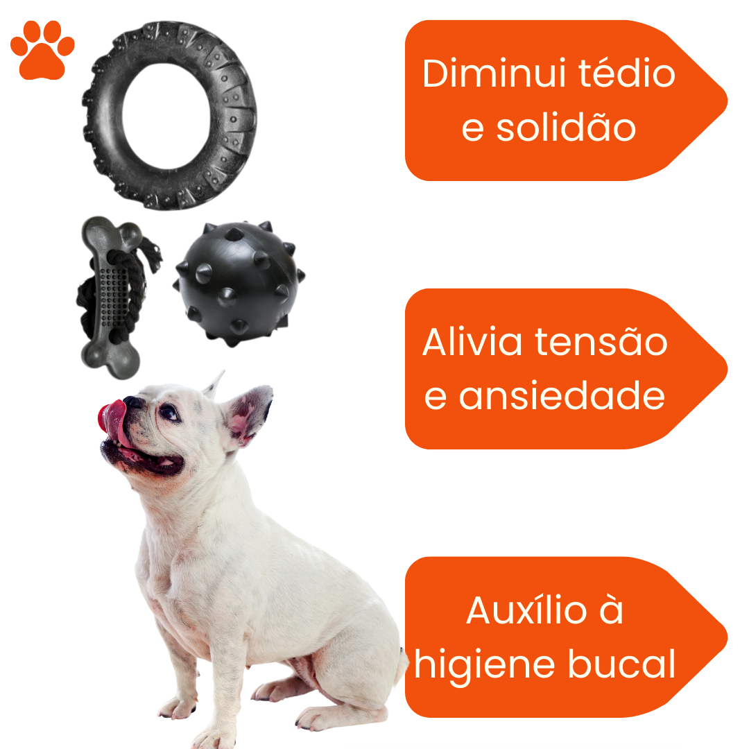 KIT BRINQUEDO MORDEDOR PARA CACHORRO