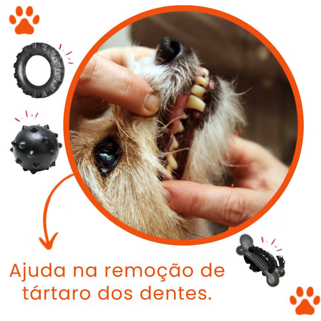 KIT BRINQUEDO MORDEDOR PARA CACHORRO