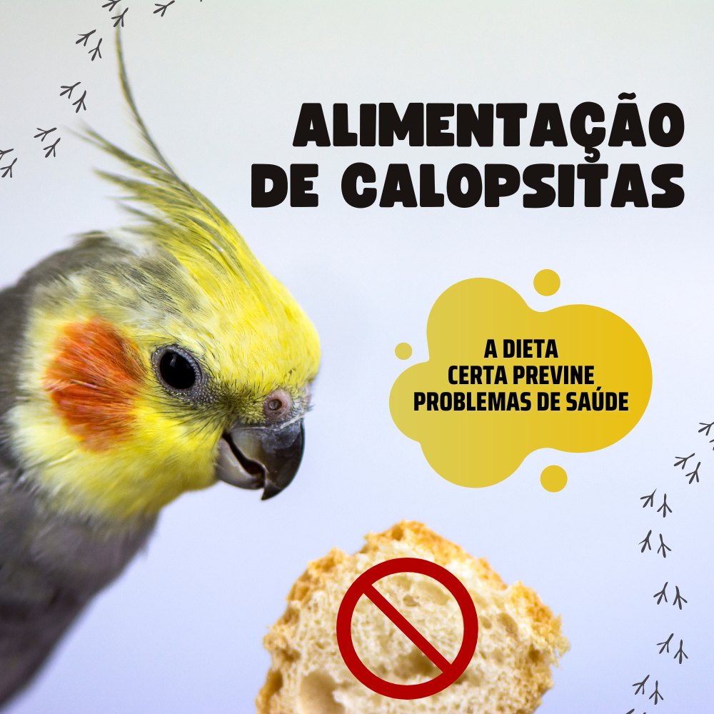 NUTRIÇÃO PREMIUM COMBAT BIRDS - SEMENTES BALANCEADAS PARA CALOPSITA ÓLEO E MEL