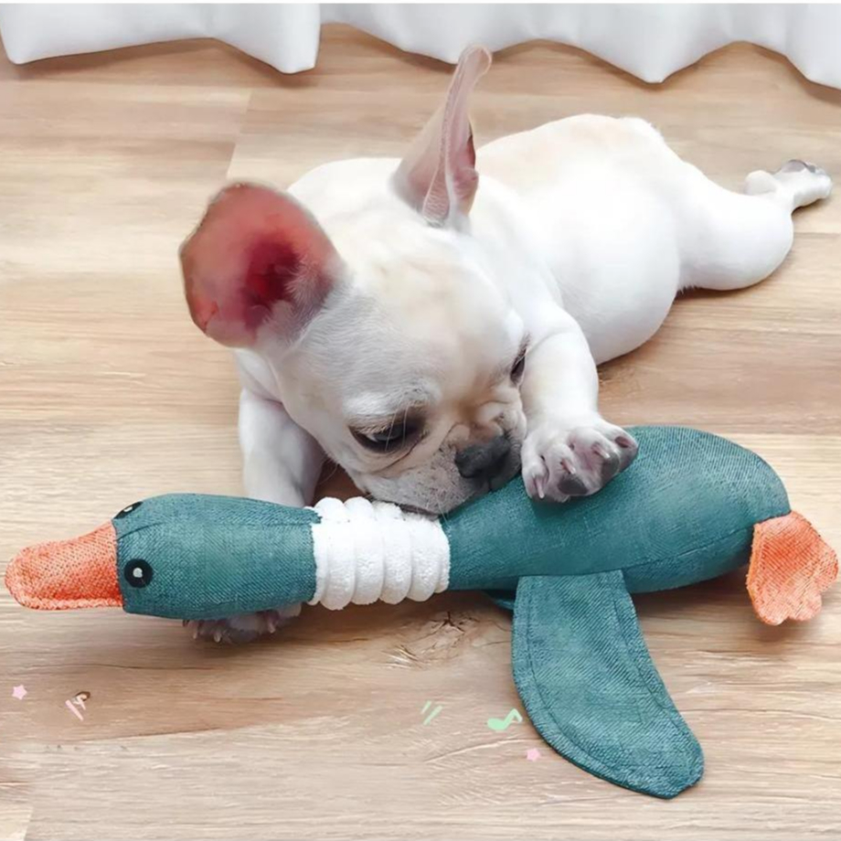 PATO BRINQUEDO DE PELÚCIA PET