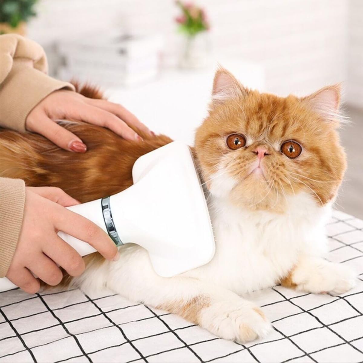ESCOVA SECADORA ELÉTRICA 2 EM 1 PARA CACHORRO E GATO