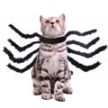 TRAJE DE HALLOWEEN ARANHA PARA PET