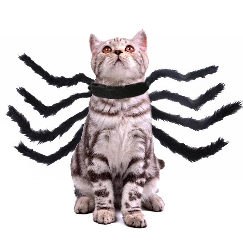 TRAJE DE HALLOWEEN ARANHA PARA PET