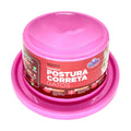 COMEDOURO POSTURA CORRETA PARA GATOS