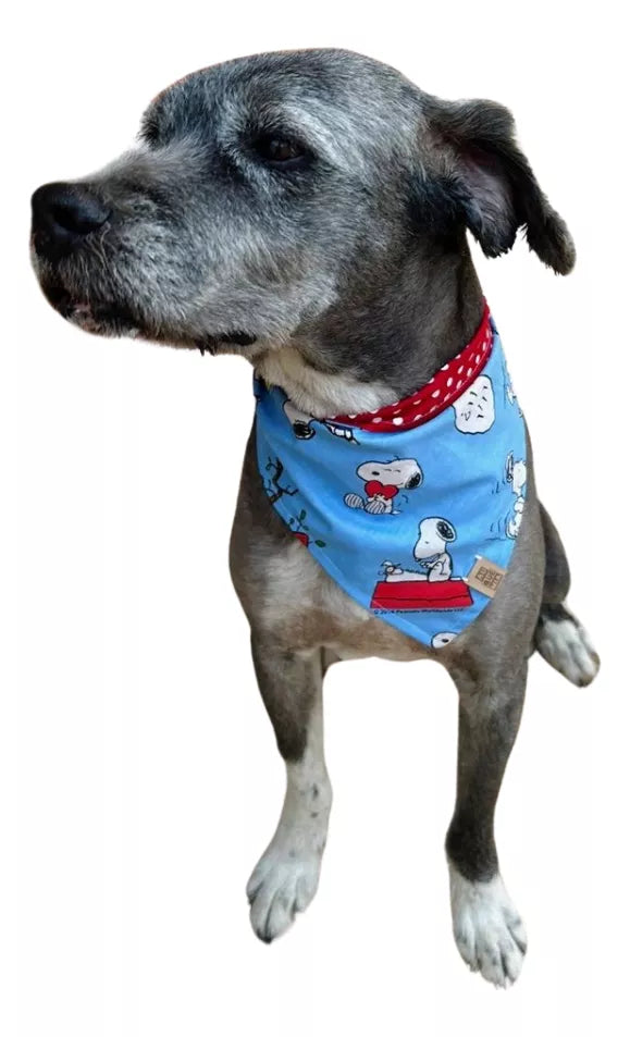 BANDANA PET DUPLA FACE FECHAMENTO COM BOTÃO DE PRESSÃO