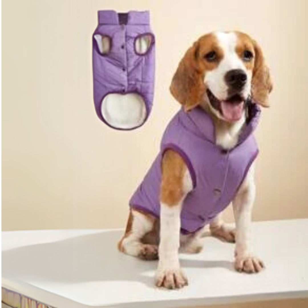 CASACO DE INVERNO PREMIUM PARA PET