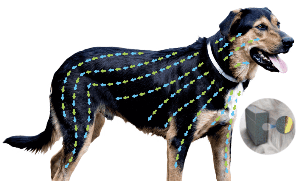 COLEIRA ANTIPULGAS SERESTO PETS COM ATÉ 8KG