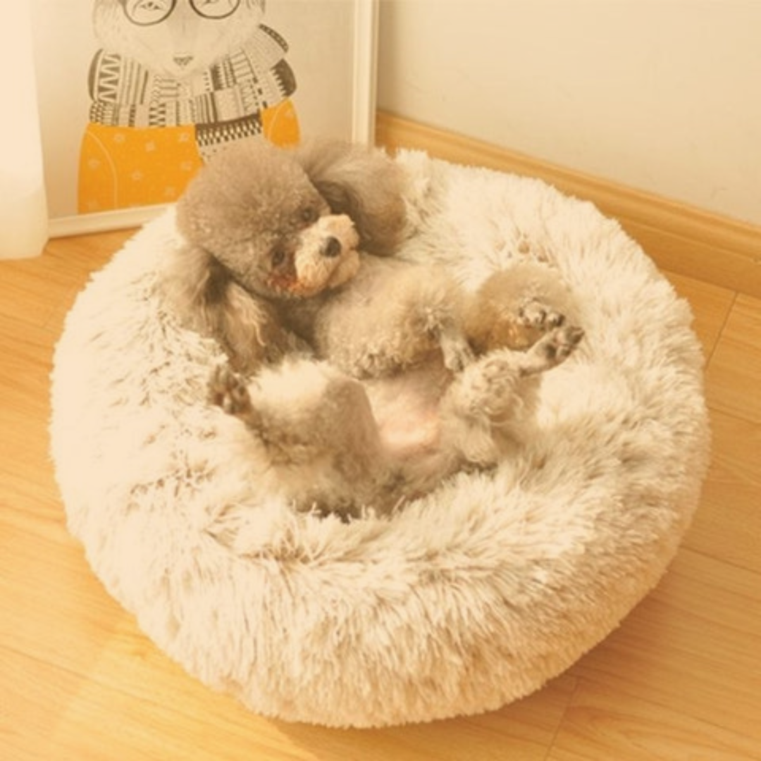 CAMA DONUT – CAMA ANATÔMICA ANTIESTRESSE
