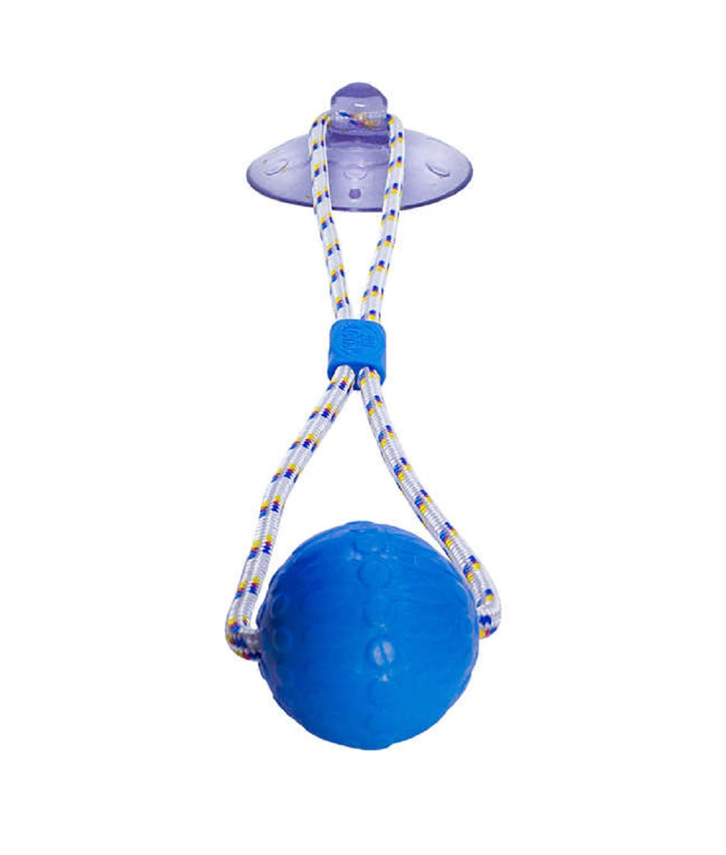 BRINQUEDO PUSH BALL DIVERCÃO