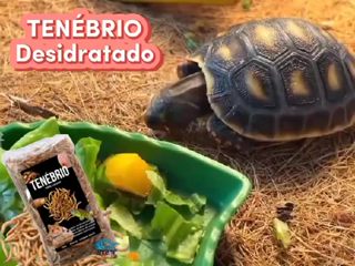 RAÇÃO PETISCO NATURAL