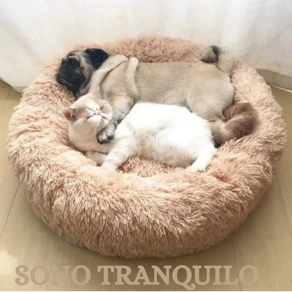 CAMA DONUT – CAMA ANATÔMICA ANTIESTRESSE