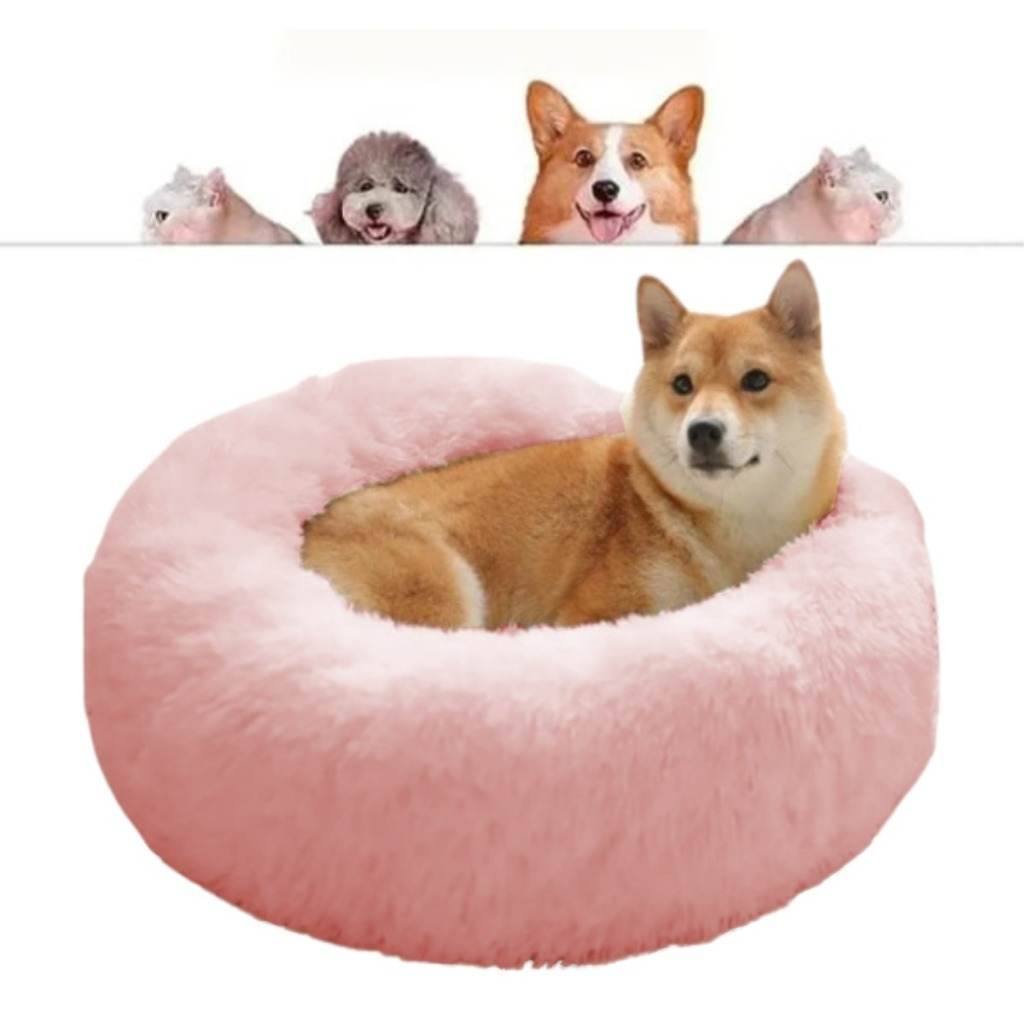 CAMA DONUT – CAMA ANATÔMICA ANTIESTRESSE
